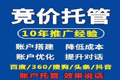 解析某某SEM服务公司的广告投放策略与效果评估