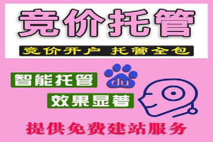 SEM托管服务成功案例：助力企业转型升级